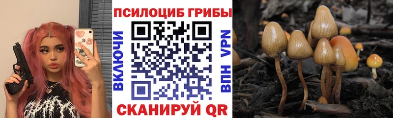 Псилоцибиновые грибы прущие грибы  Купить  Глазов 